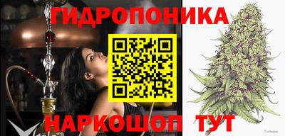 apvp Бузулук