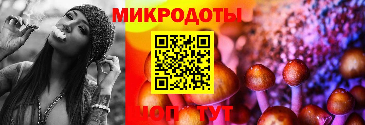 Галлюциногенные грибы GOLDEN TEACHER  Вход с VPN  Галлюциногенные грибы GOLDEN TEACHER  Заинск 
